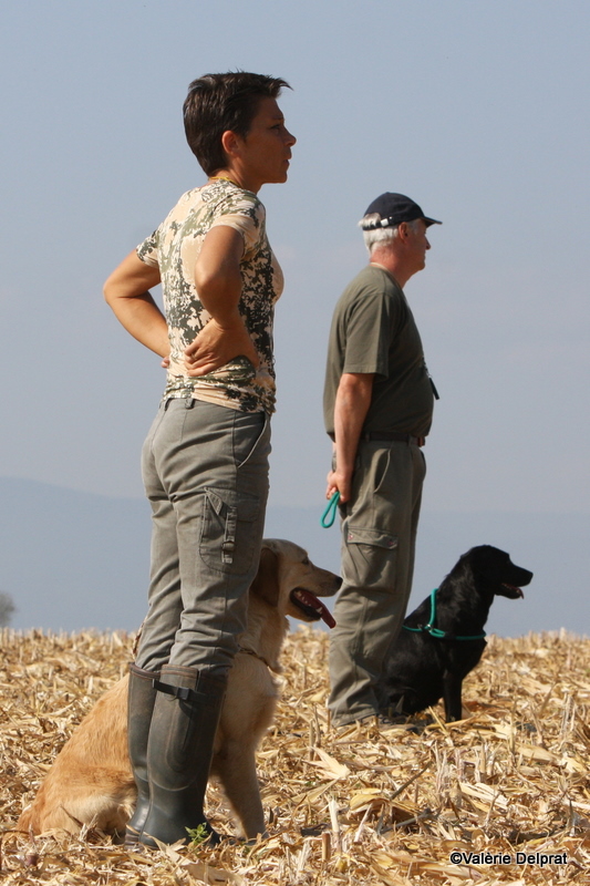 Field Erstein 09 (163).JPG